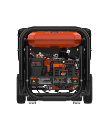 Generador eléctrico profesional BELAGUA a gasolina 4T (4.000W)