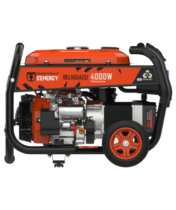 Generador eléctrico profesional BELAGUA a gasolina 4T (4.000W)
