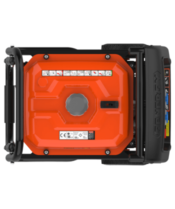 Generador eléctrico profesional BELAGUA a gasolina 4T (4.000W)
