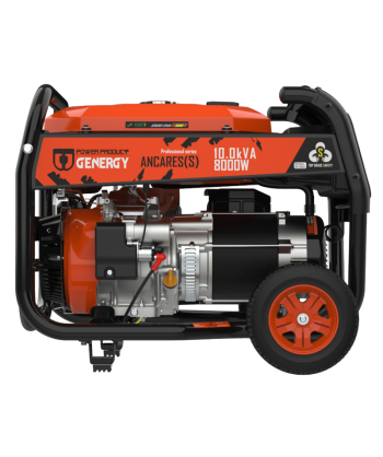 Generador eléctrico Monofásico y Trifásico ANCARES-S (8.000W- 10kVA) (1)