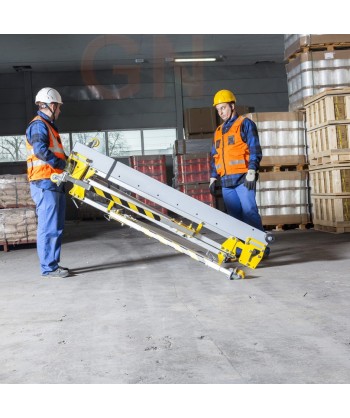 Pórtico para cargas de hasta 500 kg y un máximo de 2 usuarios
