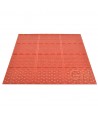 Alfombra reversible para cargas pesadas -Zonas húmedas-