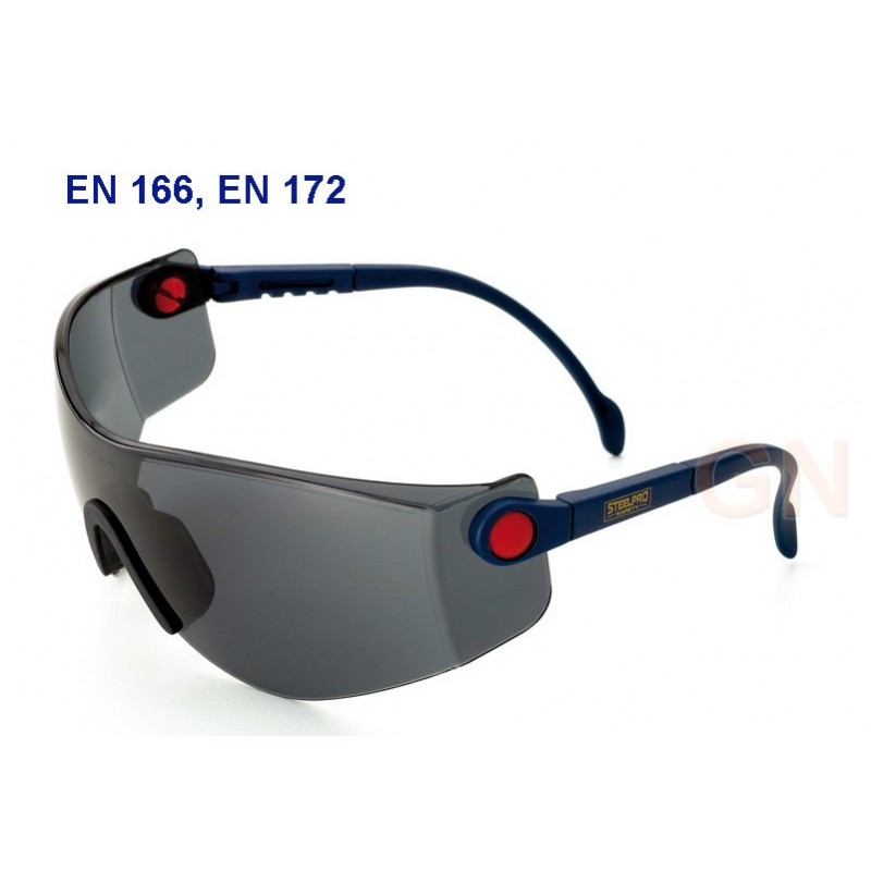 Gafas panorámicas de protección con ocular ahumado