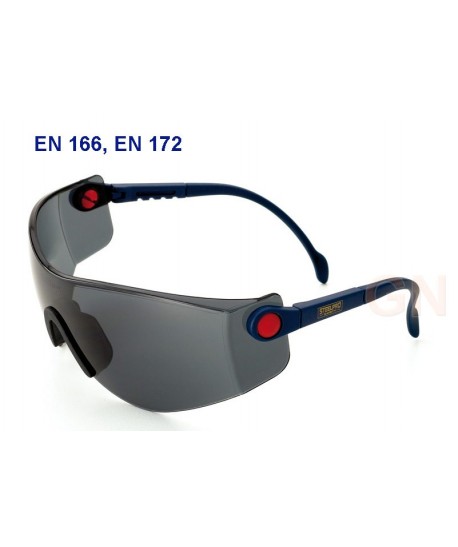 Gafas panorámicas de protección con ocular ahumado