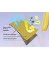 Buzo bacteriológico y protección química. Tipos 3B, 4B, 5, 6   (1 und)