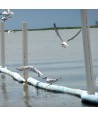 Barreras marinas absorbentes para aceites y combustibles -110 lit-