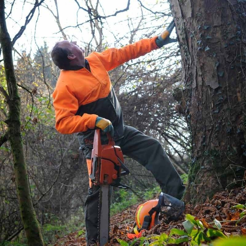 Chaqueta bicolor para trabajos forestales