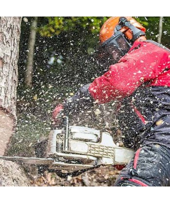 Kit forestal de pantalla facial + soporte + casco + orejeras