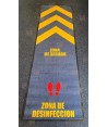 Alfombra desinfectante para laboratorios y zonas limpias con dos zonas independientes