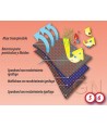 Buzo desechable SMS ignífugo FR 55g   (Tipo 5 y 6)