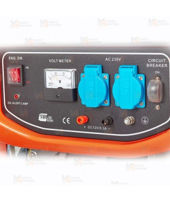 Generador eléctrico con motor a gasolina de 4 tiempos y 7.000W de potencia