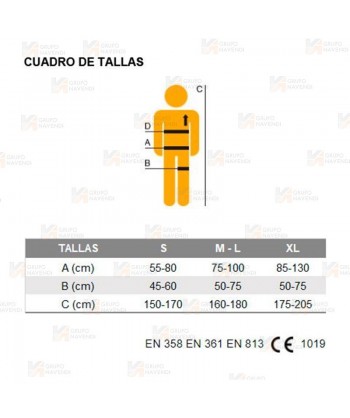 Arnés con enganches dorsal, frontal, cinturón de posicionamiento y hebillas automáticas