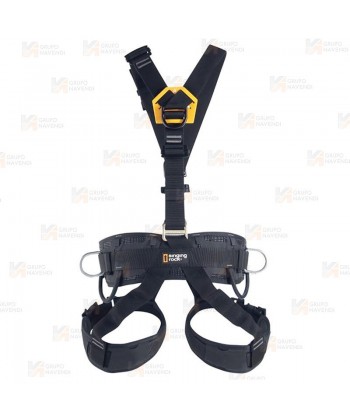 Arnés con enganches dorsal, frontal, cinturón de posicionamiento y hebillas automáticas
