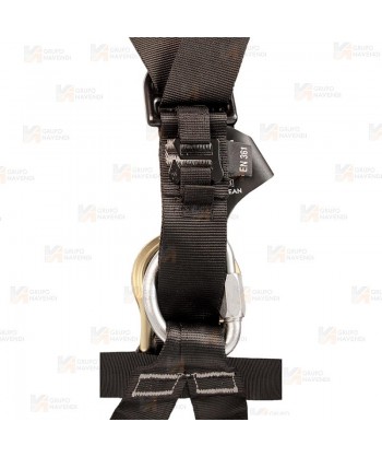 Arnés con enganches dorsal, frontal, cinturón de posicionamiento y hebillas automáticas