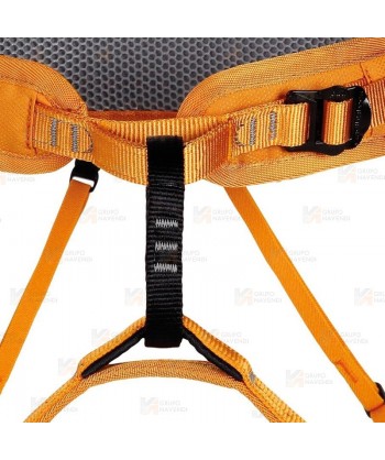 Arnés de cintura para escalada y montañismo especial principiantes modelo Rob de Singing Rock