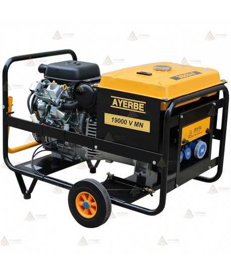 Grupo electrógeno a gasolina (230V/ 19 KVA/15.000W)