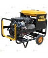 Grupo electrógeno monofásico a gasolina (220V / 12,5 KVA/10.000W)