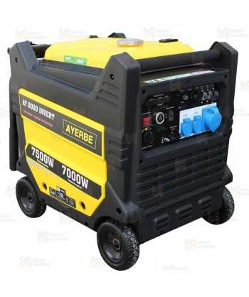 Grupo electrógeno monofásico e inverter a gasolina (7.500W)