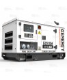 Grupo electrógeno diésel monofásico (10 KVA / 8.000W) Insonorizado