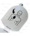 Electrodos Trainer Samaritan - Juego de 10 pares