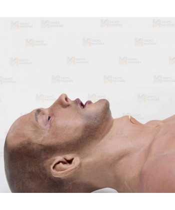 Torso masculino adulto EMS-T para RCP