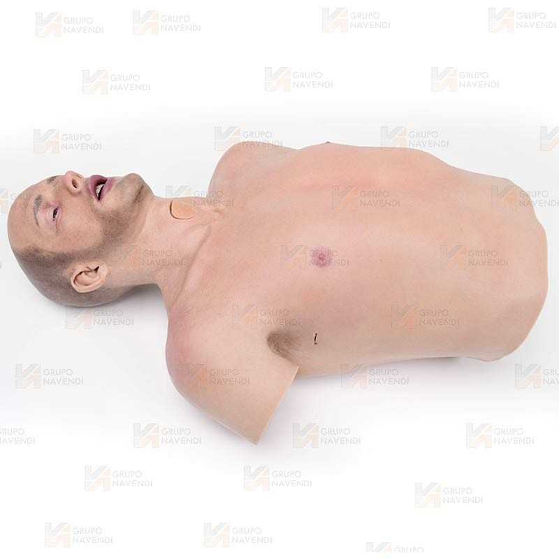 Torso masculino adulto EMS-T para RCP
