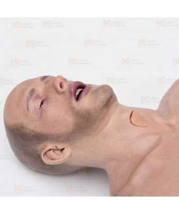 Torso masculino adulto EMS-T para RCP