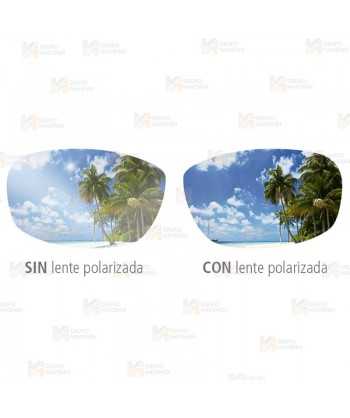 Gafas polarizadas para protección solar