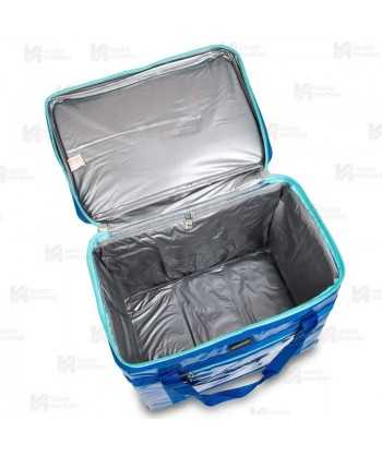 Bolsa isotérmica transporte muestras (50 lit.)