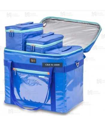 Bolsa isotérmica transporte muestras (50 lit.)