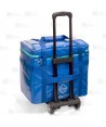 Bolsa isotérmica transporte muestras (50 lit.)