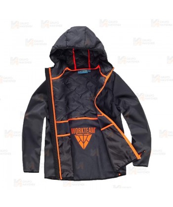 Chaqueta Softshell acolchado bicolor, con capucha