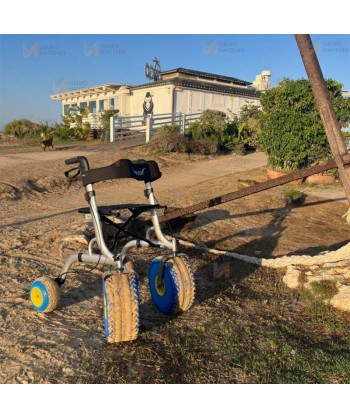 Andador con ruedas para playa, ergonómico y muy confortable